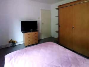 2 cam bloc caramida etaj 1 centr proprie zona Medicinei — miniatura 2