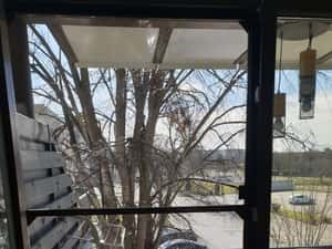 Apartament 2 camere semidecomandat de vanzare – Saturn, Mangalia — miniatura 6