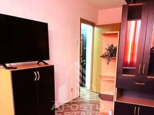 Apartament 1 camera zona Micalaca — miniatura 6