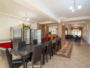 Pensiune 17 camere cu baie proprie Băile Felix — miniatura 4