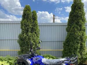 ATV JRH 200cc ‼️ NOU ‼️ 2026 ‼️ 0 km atv copii ( nu linhai can am cf moto suzuki tgb ) — miniatura 9