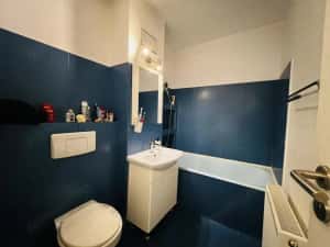 Apartament cu 2 camere mobilat si utilat - Zona Bogdanestilor, Timisoara — miniatura 7
