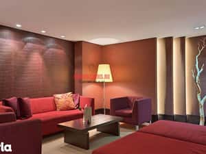 N. Teclu-Metrou, Mijloace Transport, Direct Dezvoltator — miniatura 5