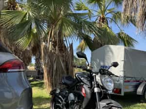 MV Augusta Brutale Dragster 800RR nu Ducati / Aprilia — miniatura 7