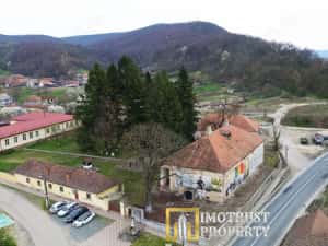 Castel istoric de vânzare în Conop | proprietatea lui Cicio Pop — miniatura 4