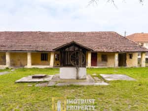 Castel istoric de vânzare în Conop | proprietatea lui Cicio Pop — miniatura 7
