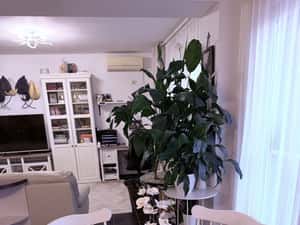 Apartament duplex spatios, ideal pentru familie de vanzare/inchiriere — miniatura 4