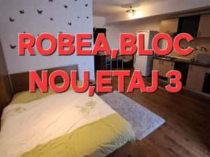 Vând garsoniera Mioveni-Robea, bloc nou — miniatura 2