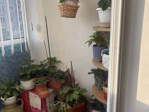 Proprietar vând apartament în Crângași, 54 mp — miniatura 4
