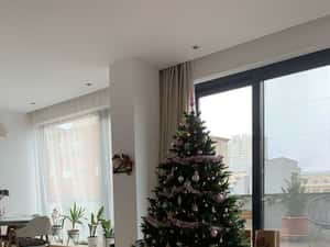 Duplex Premium | Universitate | 2X Parcari | 228MP | 2017 PET FRIENDLY — miniatura 4