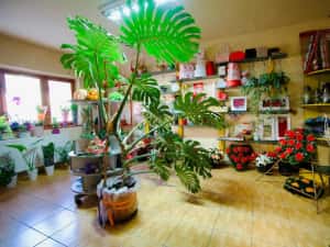 Spatiu Comercial de vanzare. — miniatura 5