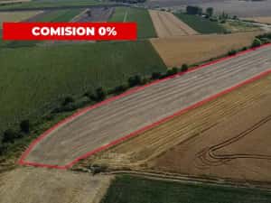 COMISION 0% Teren intravilan de 20.000 mp, front de 52 ml, zona Sag — miniatura 4