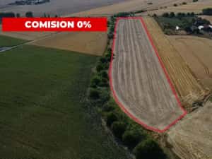 COMISION 0% Teren intravilan de 20.000 mp, front de 52 ml, zona Sag — miniatura 6