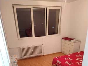 Proprietar,Sos Giurgiului,Berceni,metrou,in spatele Pietei Progresul — miniatura 5