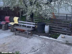 Garsonieră spațioasă, în casa cu  loc de parcare in curte, parter — miniatura 3