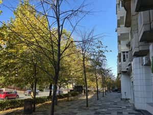 Vanzare Apartament 4 Camere Decomandat | 115 MP- Decebal - P-ta Muncii — miniatura 3