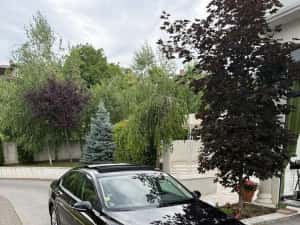Volkswagen Passat 2019 Volkswagen Passat 2.0 TDI Automat DSG, Navi, Panoramic