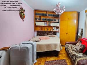 Proprietate in intravilanul mun. Piatra Neamt , zona Cindia — miniatura 2