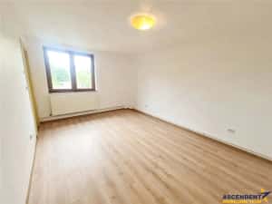 Vila impetuoasa pe 700mp teren:Spatiu versatil pentru locuinta afacere Premium — miniatura 3