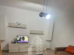 Doua apartamente la curte comuna , zona Iosefin — miniatura 3