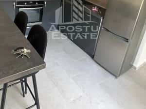 Doua apartamente la curte comuna , zona Iosefin — miniatura 5