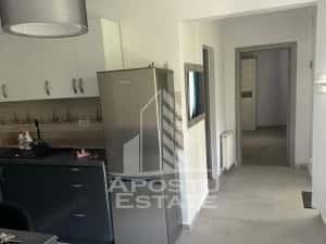 Doua apartamente la curte comuna , zona Iosefin — miniatura 6