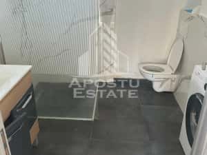 Doua apartamente la curte comuna , zona Iosefin — miniatura 7