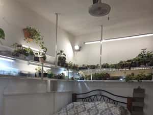 3 camere Sector 4 renovat Brancoveanu stradal