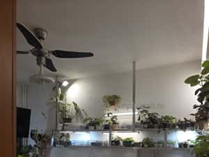3 camere Sector 4 renovat Brancoveanu stradal — miniatura 6