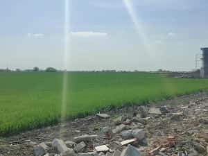 Teren construcție-hală Calea Aradului-Sânandrei de vânzare