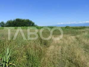 Teren extravilan de vanzare 25920 mp in Sura Mica Sibiu — miniatura 3