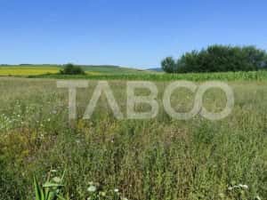 Teren extravilan de vanzare 25920 mp in Sura Mica Sibiu — miniatura 4