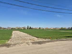 Snagov- Ciofliceni, loturi de casă între 502mp-536mp, Șerban Cantacuzino!