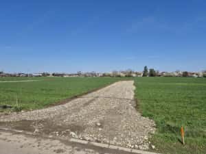 Snagov- Ciofliceni, loturi de casă între 502mp-536mp, Șerban Cantacuzino! — miniatura 2
