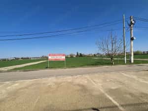 Snagov- Ciofliceni, loturi de casă între 502mp-536mp, Șerban Cantacuzino! — miniatura 5