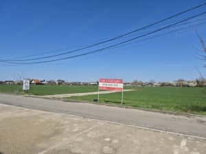 Snagov- Ciofliceni, loturi de casă între 502mp-536mp, Șerban Cantacuzino! — miniatura 6