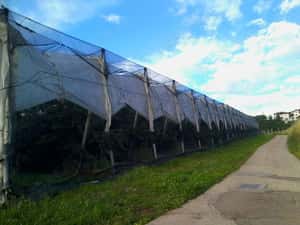 Plase protectie - agricultura, constructii — miniatura 2
