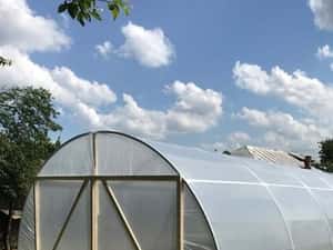 Solar pentru legume 6/4/2,5 m — miniatura 7