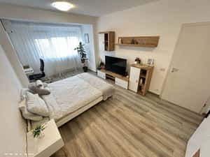 1 Cam-Buziasului-5 Min Spitalul Judetean-Centrala-Mobilat-35 MP-60.000 — miniatura 1