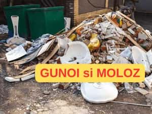 Transport Moloz si Gunoi Craiova - Asiguram manipulanti — miniatura 3