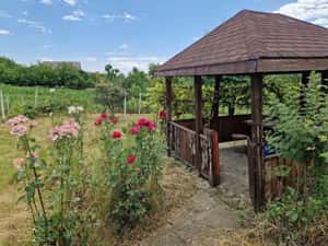 De vanzare casuta mica din caramida cu teren de 1059mp — miniatura 3