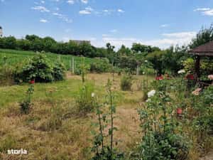 De vanzare casuta mica din caramida cu teren de 1059mp — miniatura 5