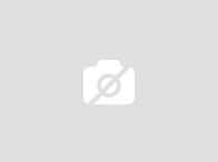 Set amortizoare spate Hyundai Santa Fe 2011 suv 2.2