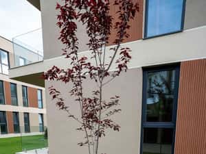 Apartament nou semimobilat  cu parcarea inclusa! — miniatura 4
