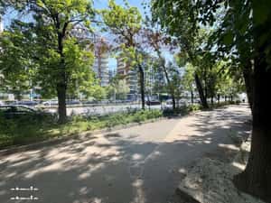 Apartament cu 3 camere de vânzare în zona Drumul Taberei — miniatura 3