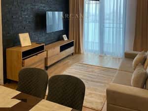Apartament 2 camere cu vedere spre lac langa Iulius Mall — miniatura 3