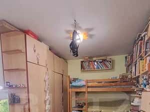 Apartament cu doua dormitoare la parter, mobilat si utilat! — miniatura 3