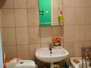 Apartament cu 1 camera in zona Mehala — miniatura 3