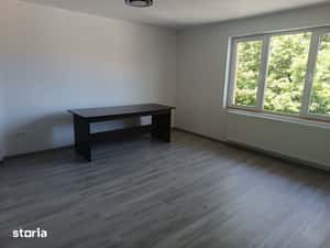 Birou-Apartament -Vilă — miniatura 6