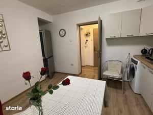 2 camere – Brasoveni 31 — miniatura 4